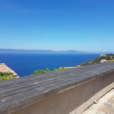 Studio climatisé île naturiste du Levant Hyères Exterior foto